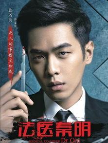 电视剧法医秦明,探案解谜，正义之光